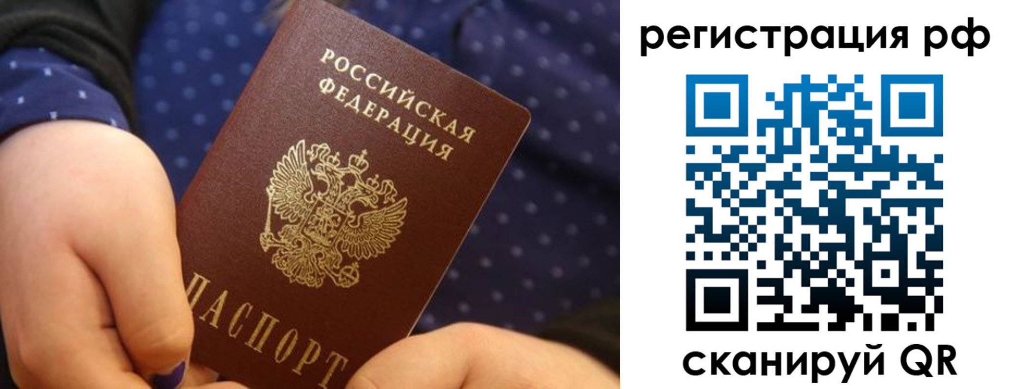 временная регистрация поиск в Домодедово